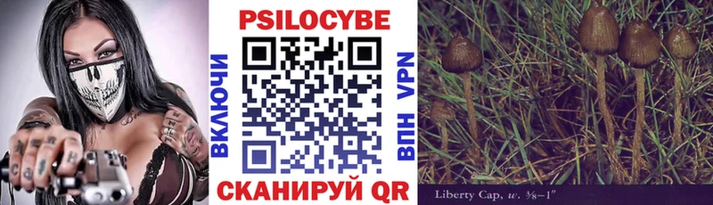 Галлюциногенные грибы прущие грибы  Купить  Морозовск 